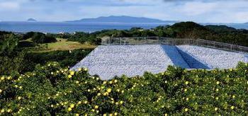 フルーツの丘の写真1