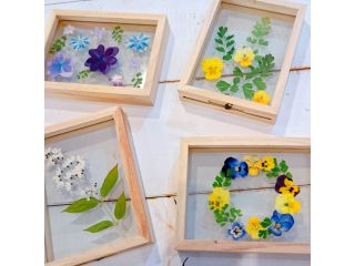 お花と雑貨　サザンクロスの写真1