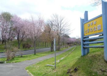 ときわ公園の写真1