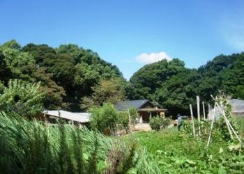 エコビレッジさいかい元気村の写真1