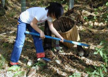 一条竹の子村の写真1