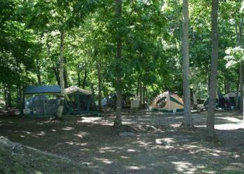 五鹿山公園キャンプ場の写真1