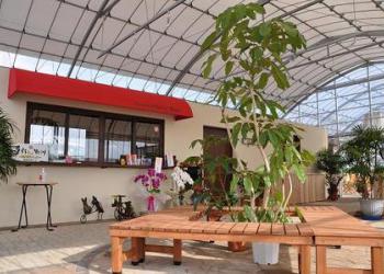 いちご&ブルーベリー園　南出農園　フェリーチェの写真1