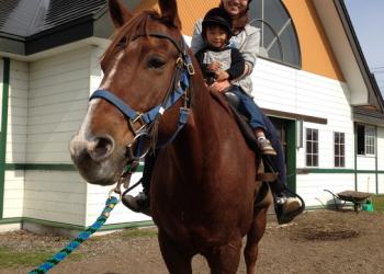 道の駅 うりまくの写真1