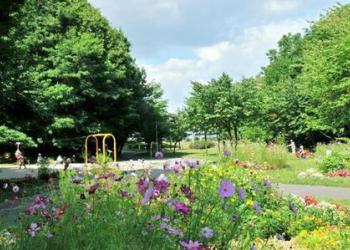 青葉中央公園の写真1