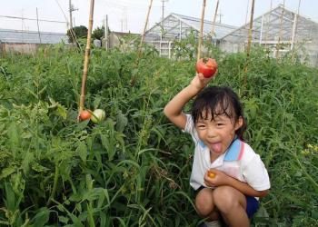 コトモファームの写真1