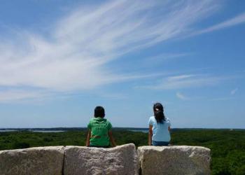 みのなる森　とこよの郷の写真1