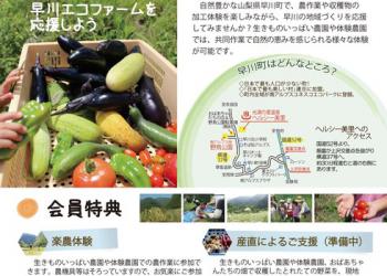 おばあちゃんたちの店の写真1