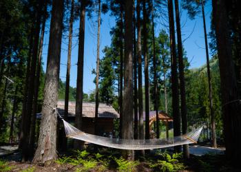 芦見谷芸術の森の写真1