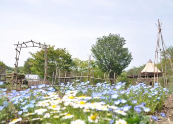 里山ホテル ときわ路の写真1