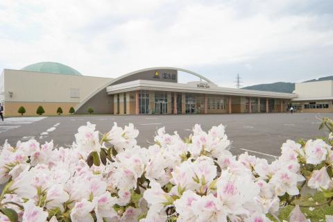 北海道昆布館の写真1