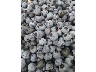 みらいガーデンファームの写真1