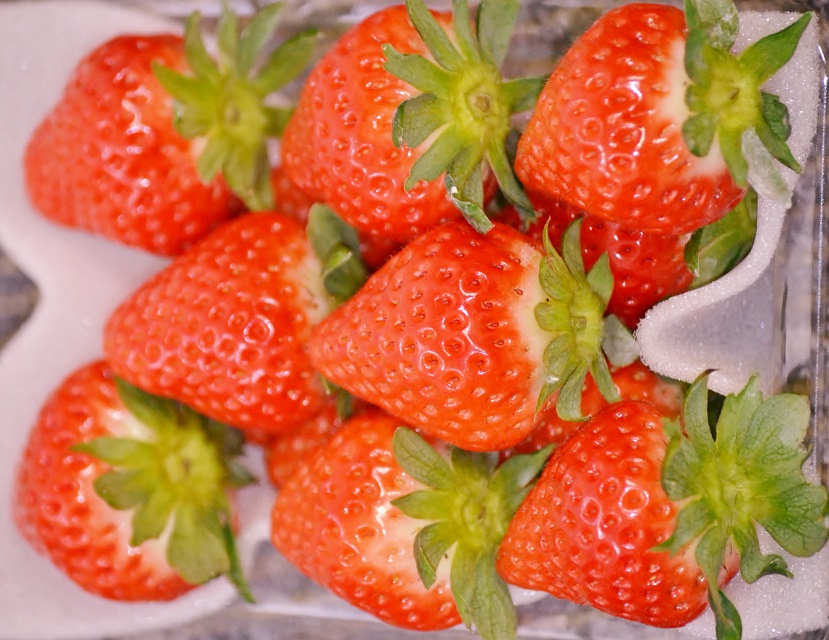 イチゴ屋けんちゃんの写真1