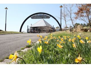 らかん高原 オートキャンプ場の写真1