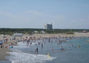 サンビーチ一ツ葉の写真1