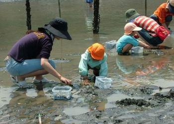 長浜海岸潮干狩りの写真1