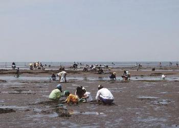 和間海浜公園の写真1