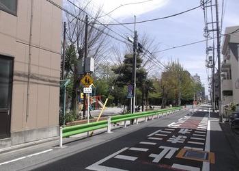 つきやま公園の写真1