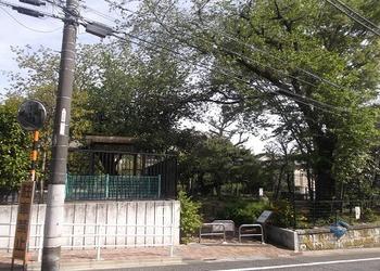 東中公園の写真1