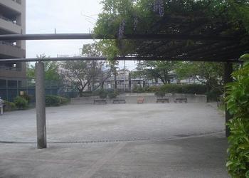 東糀谷一丁目呑川公園の写真1