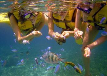 アクアラインの写真1