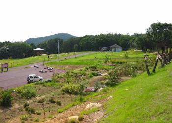 うすばえ桜公園の写真1