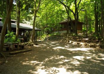 神奈川県立足柄ふれあいの村の写真1