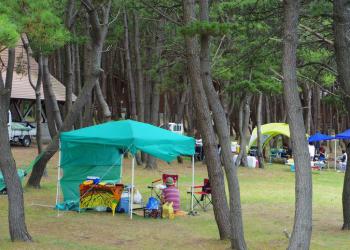 中の島ブリッジパークの写真1
