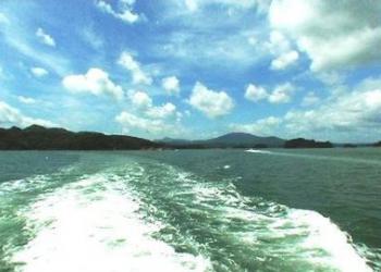 パールライン観光の写真1