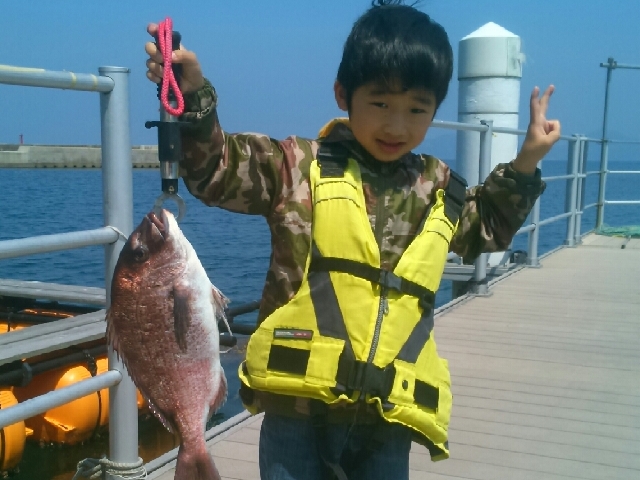 うみんぐ大島の写真1