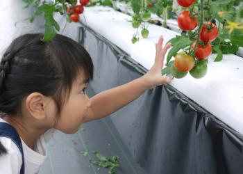 せんだい農業園芸センター みどりの杜　観光農園の写真1