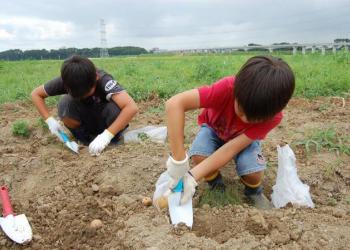 シダックスエコファームの写真1