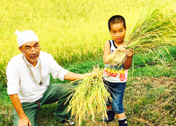 無料農業体験 セキデンファームの写真1