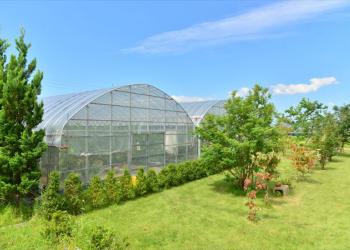 井上農園の写真1