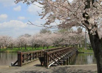 吉野公園の写真1