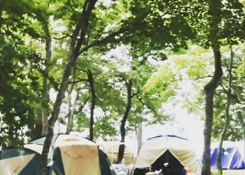 仲洞爺キャンプ場の写真1