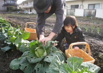 春日井農園の写真1