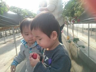 ゆうファームの写真1