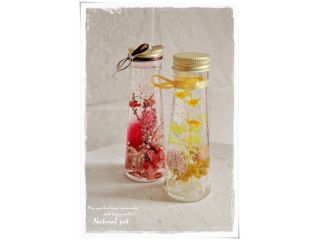 natural　potの写真1