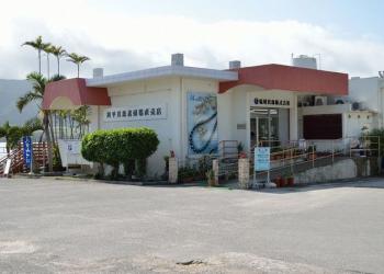 琉球真珠の写真1