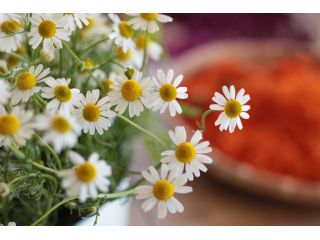 ハーブ&amp;アロマスクール　フルフルの写真1