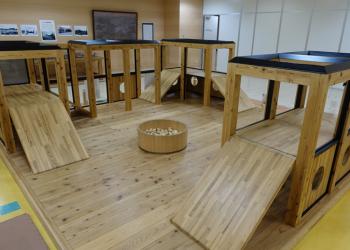 丸広百貨店(飯能店)の写真1