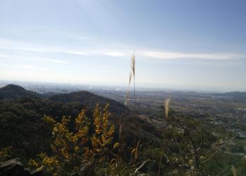 唐澤山神社ハイキングコースの写真1