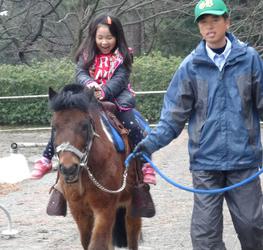 群馬県馬事公苑の写真1