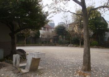 小淀公園の写真1