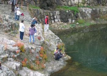 塩江温泉郷の写真1