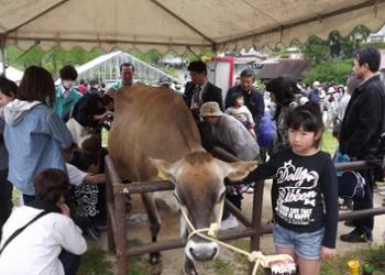 船方農場の写真1