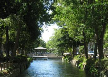 西川緑道公園の写真1