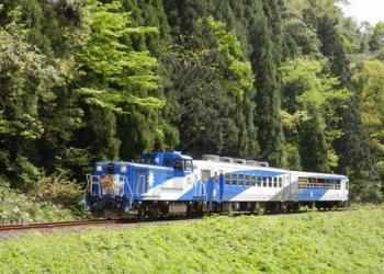 奥出雲おろち号の写真1
