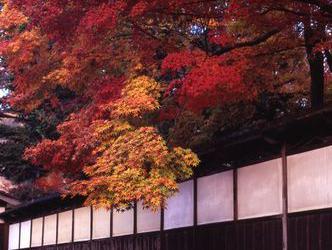 中野邸美術館の写真1